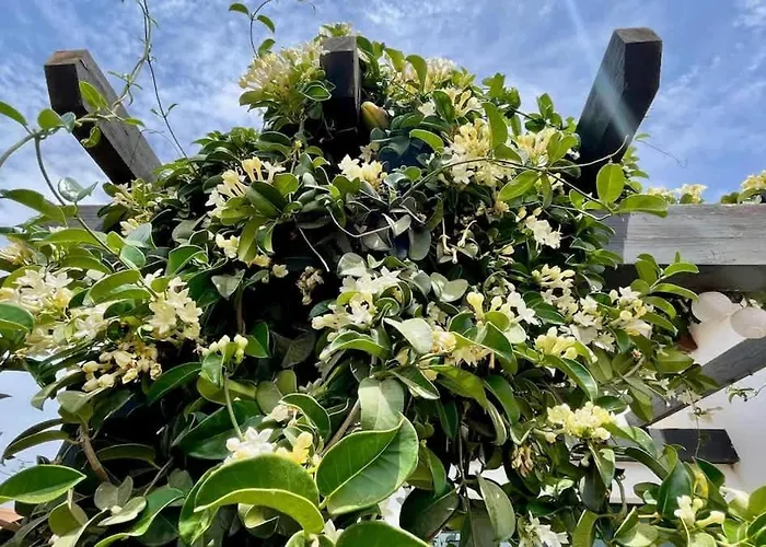 Villa Spacieuse Et Lumineuse Avec Piscine Chauffee