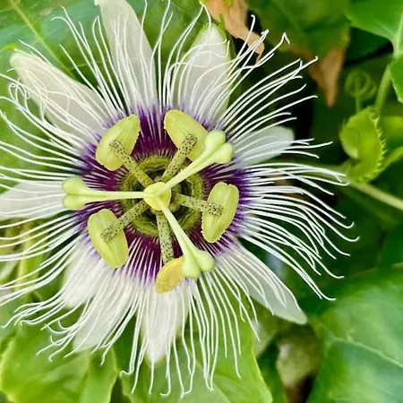 Spacieuse Et Lumineuse Avec Piscine Chauffee * La Oliva