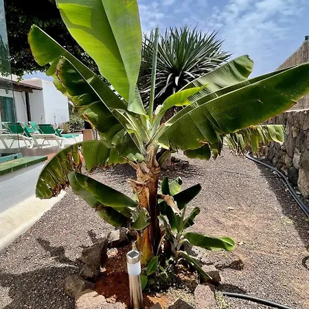 Spacieuse Et Lumineuse Avec Piscine Chauffee * La Oliva