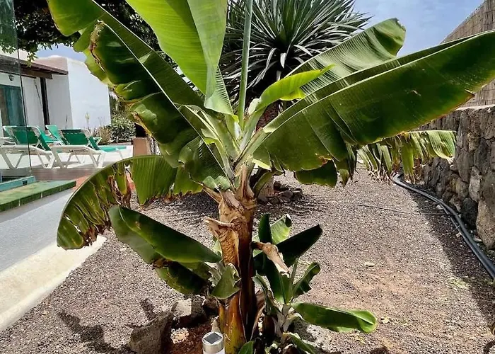 Spacieuse Et Lumineuse Avec Piscine Chauffee * La Oliva