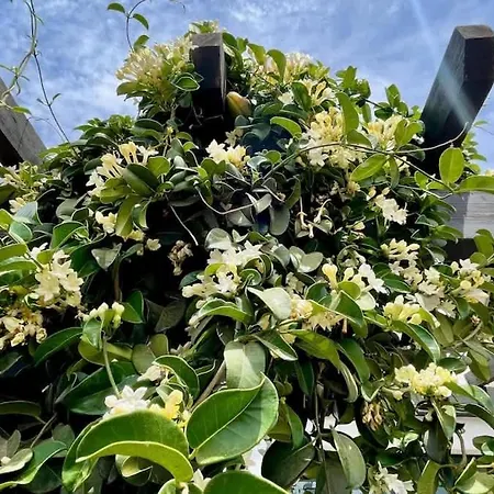 Villa Spacieuse Et Lumineuse Avec Piscine Chauffee